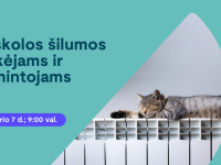 ILTE maketas