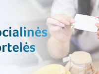 Socialinės apsaugos ir darbo ministerijos maketas