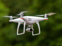 canva.com nuotr.