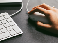 canva.com nuotr.