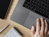 canva.com nuotr.